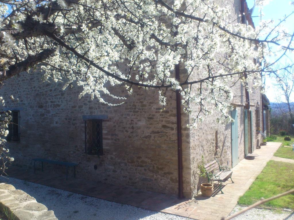 Poggio Dei Prugnoli Bed & Breakfast Tavoleto Exterior photo